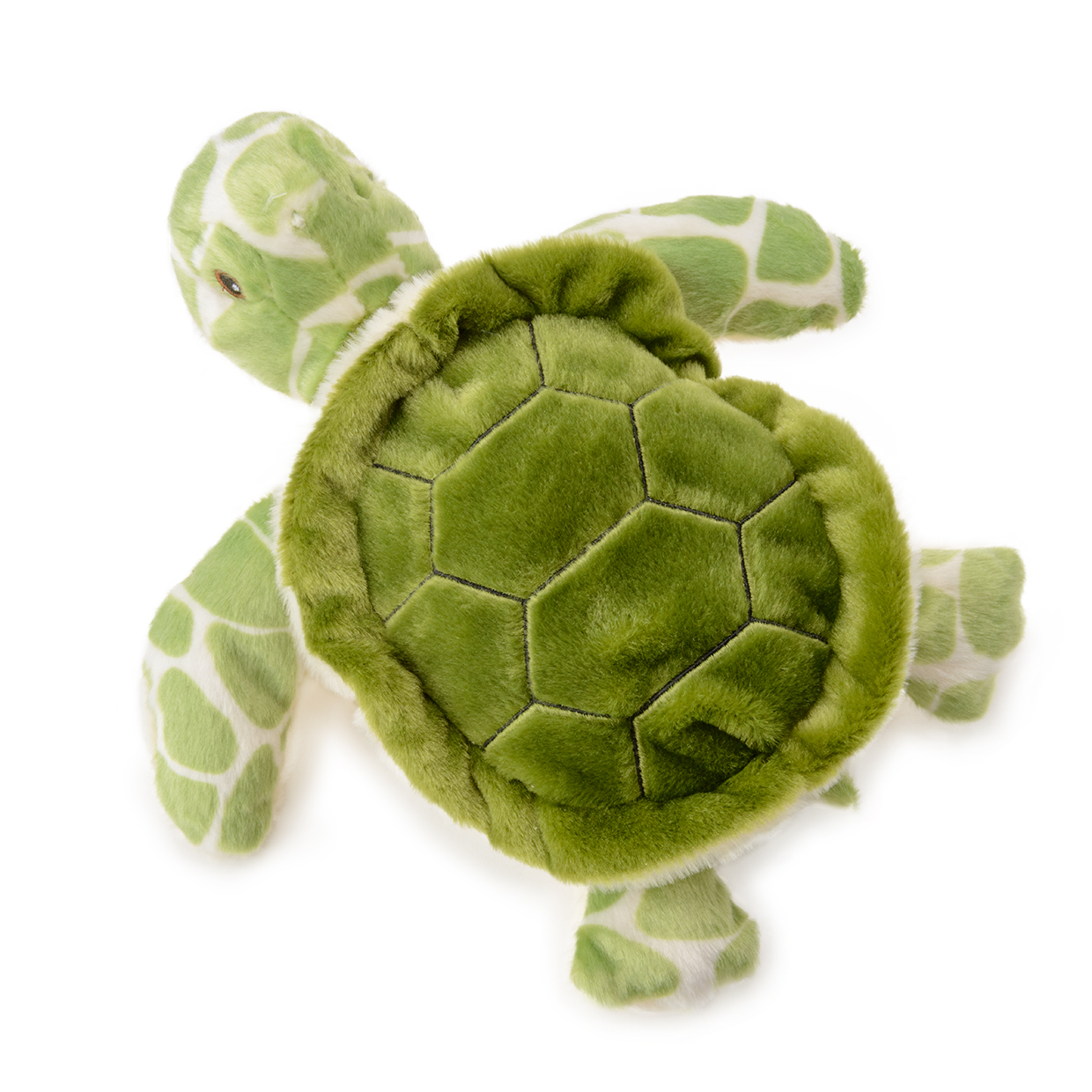 MARIONNETTE TORTUE – Image 2