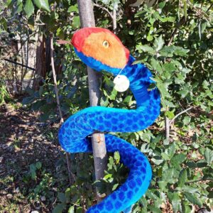 RE-PETS SERPENT BLEU CORAIL