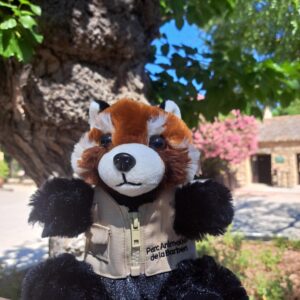 PANDA ROUX SAFARI