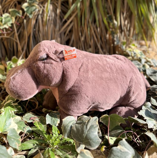 GRAND HIPPOPOTAME – Image 2