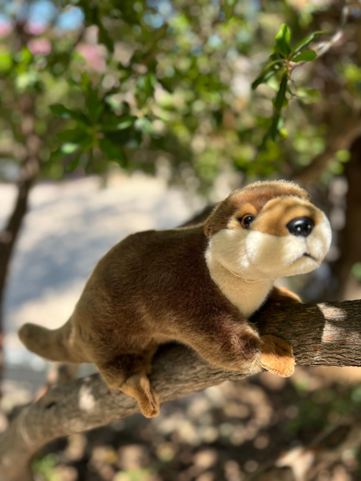 LOUTRE