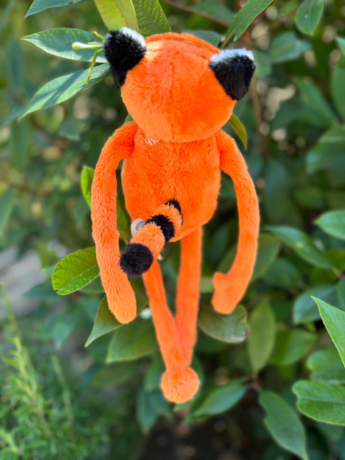 SOFTIES TIGRE BRUN – Image 3
