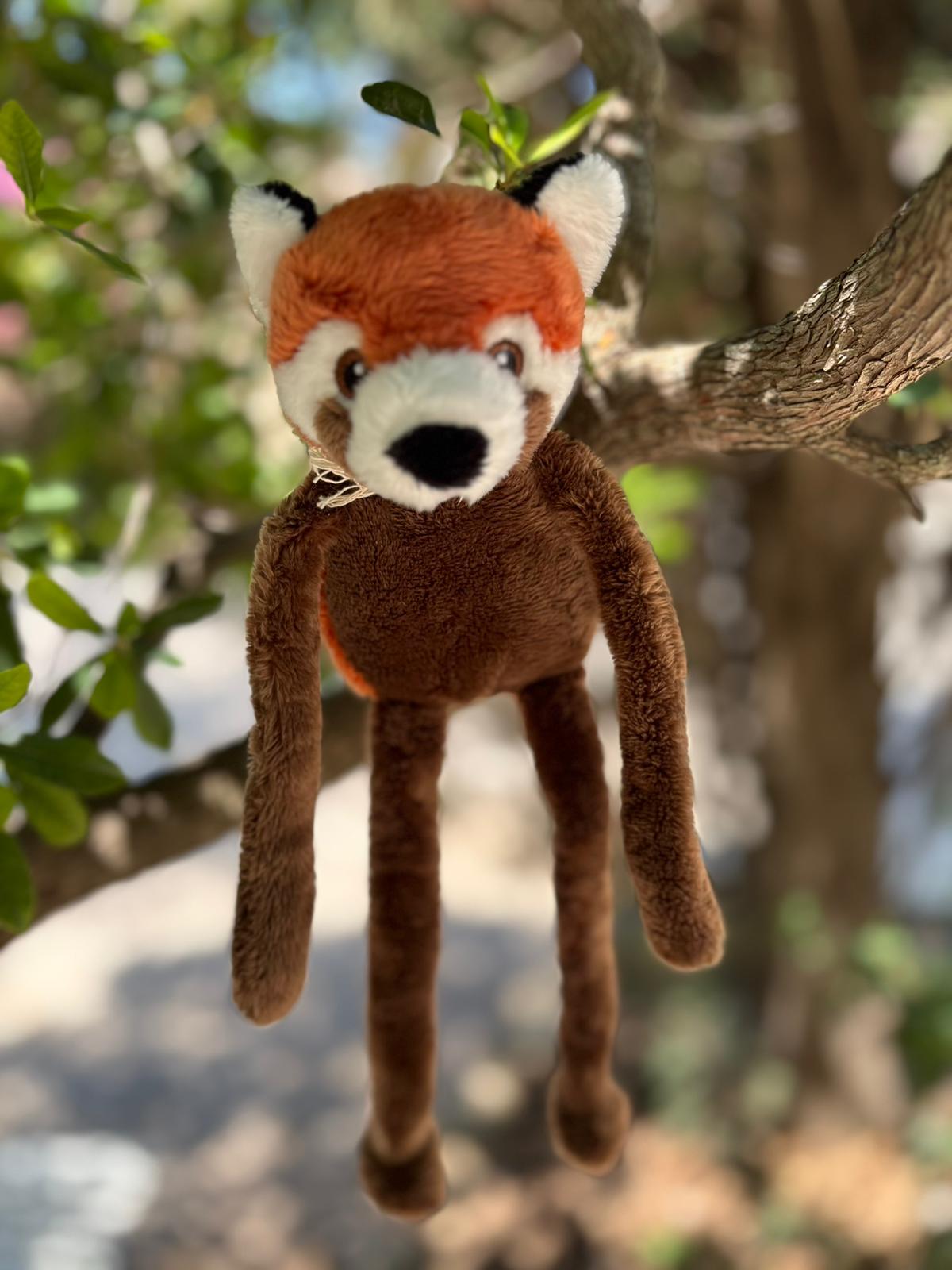 SOFTIES PANDA ROUX