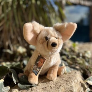 Fennec