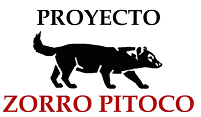 Chiens des buissons - Proyecto Zorro Pitoco