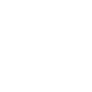 euro