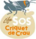 Accueil