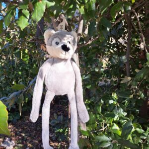SOFTIES LOUP