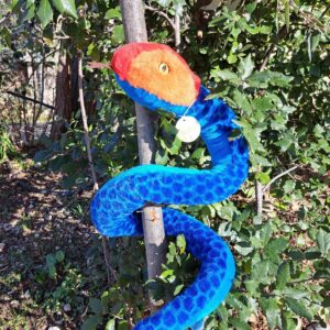 RE-PETS SERPENT BLEU CORAIL
