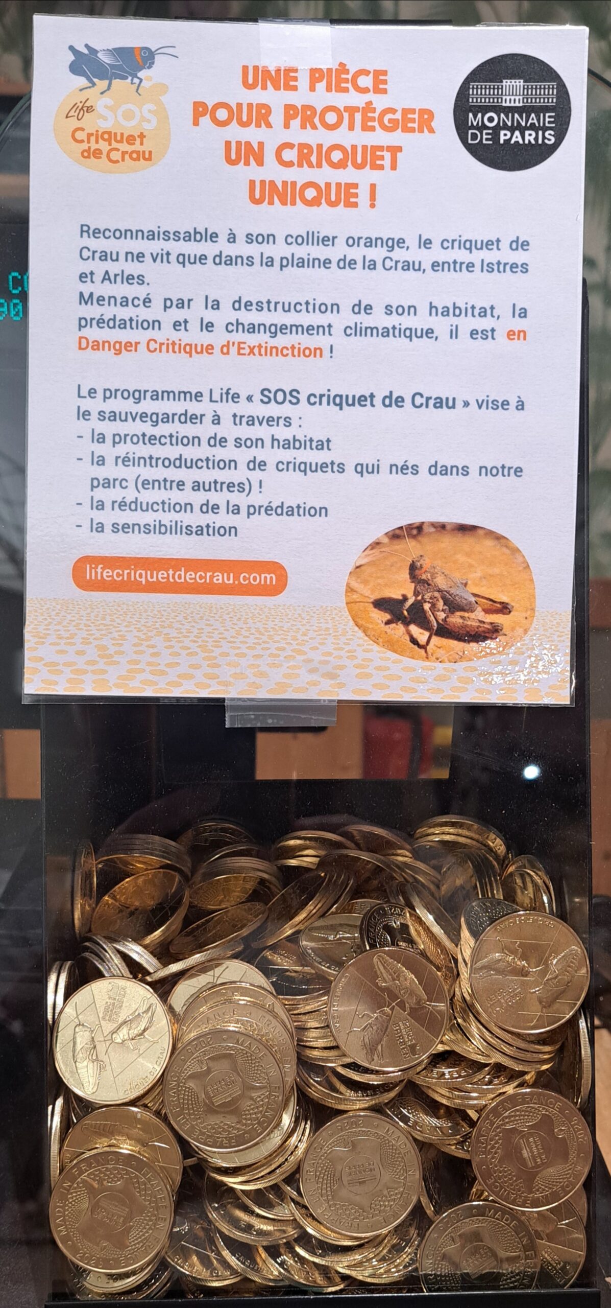 MONNAIE DE PARIS "CRIQUET DE CRAU" – Image 3