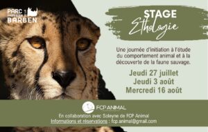 Ethology internships