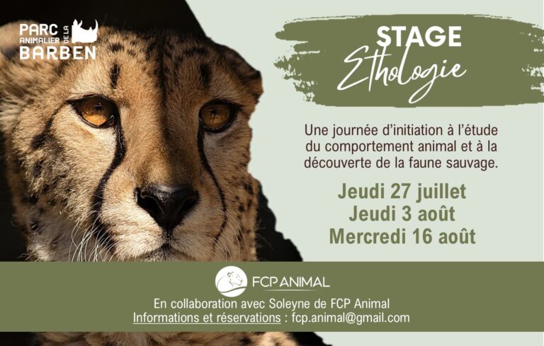 Ethology internships