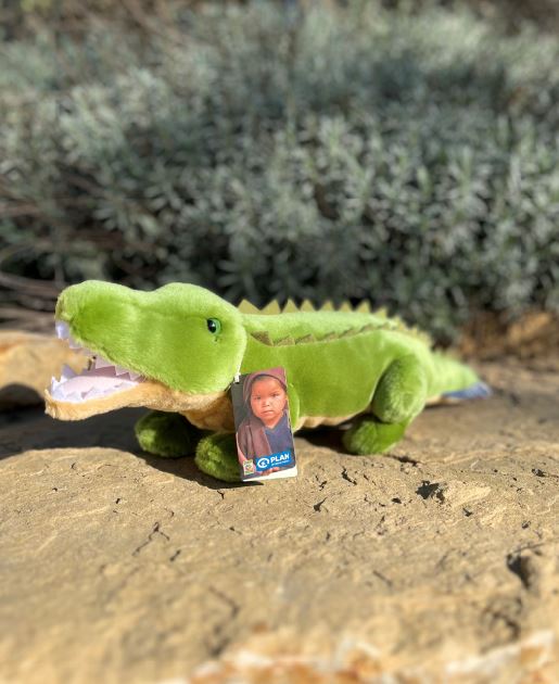 CROCODILE – Image 2