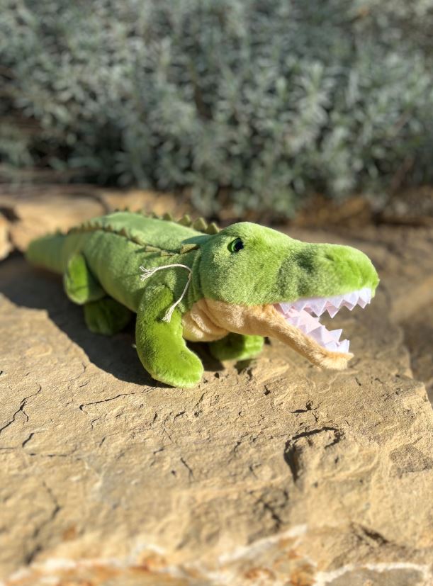 CROCODILE