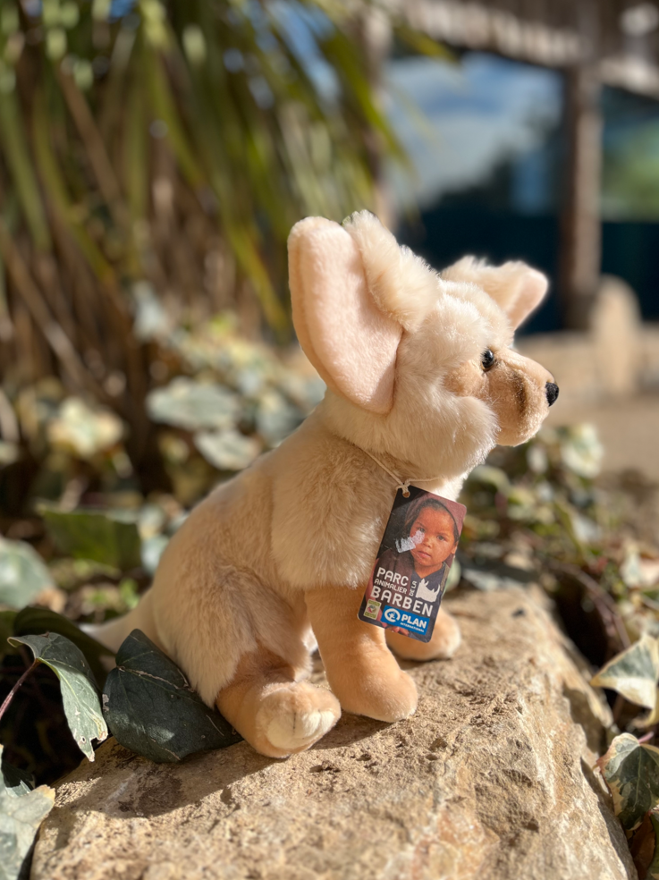 Fennec – Image 2