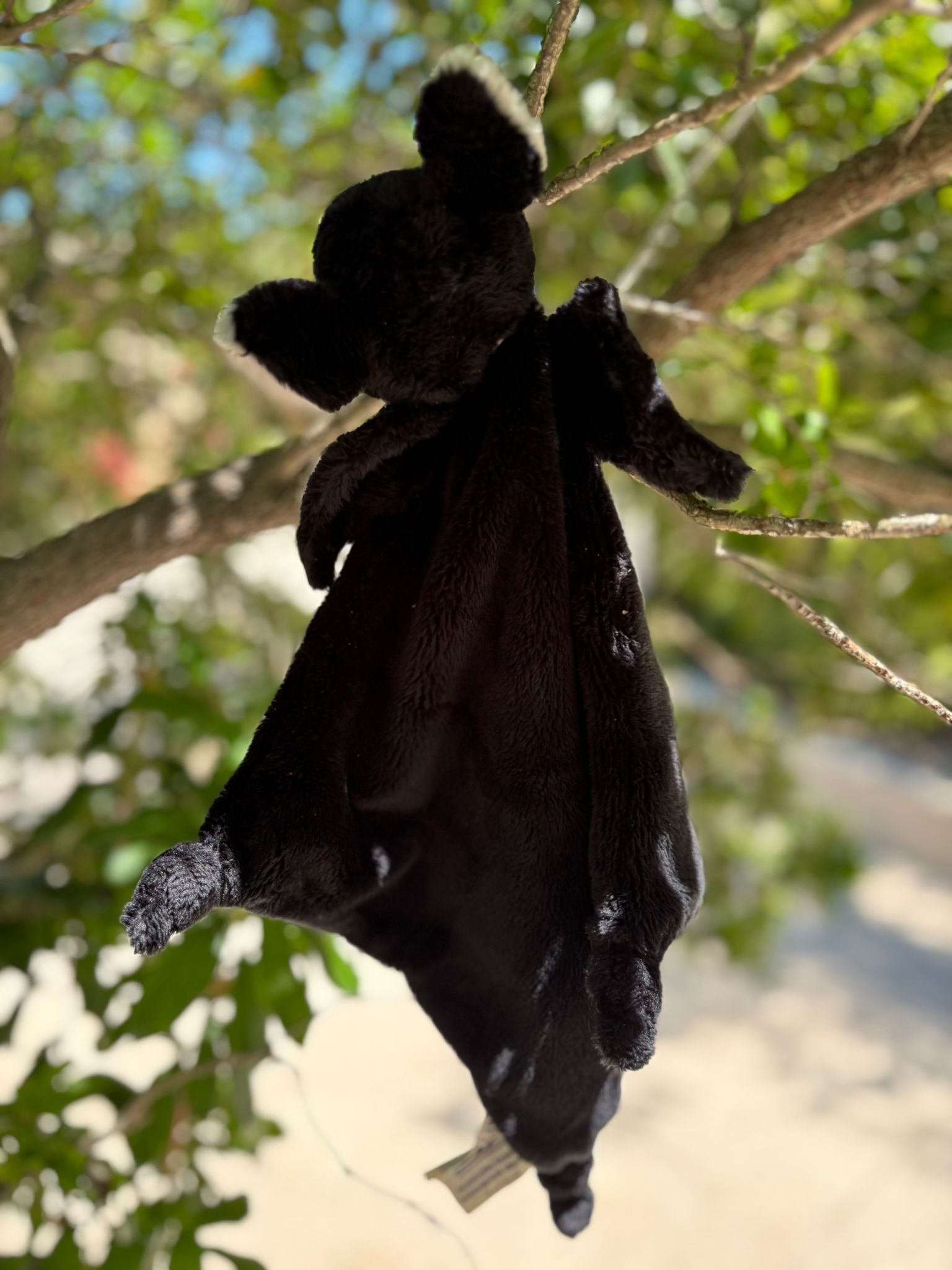 DOUDOU CHAUVE SOURIS – Image 3