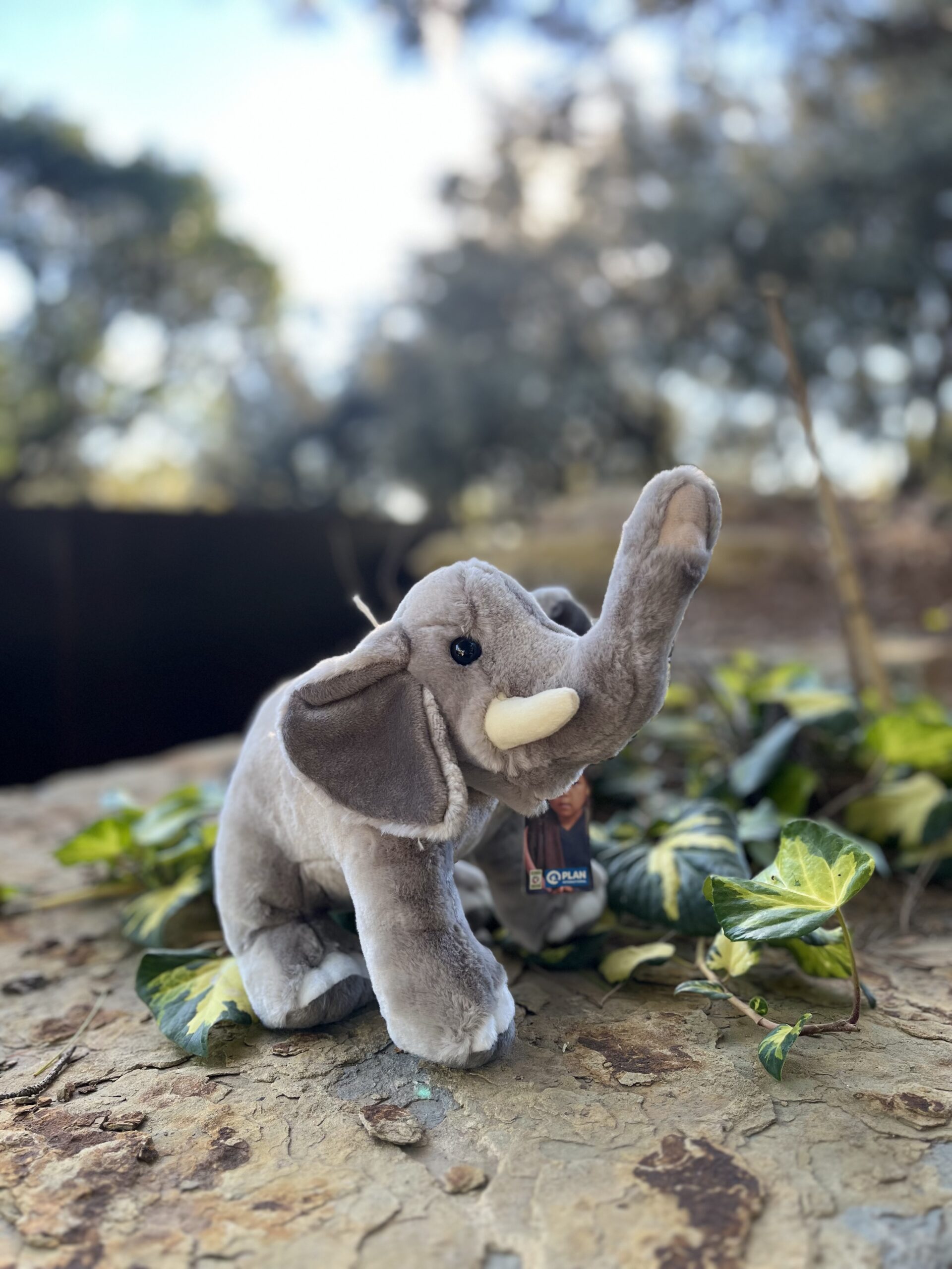 ELEPHANT
