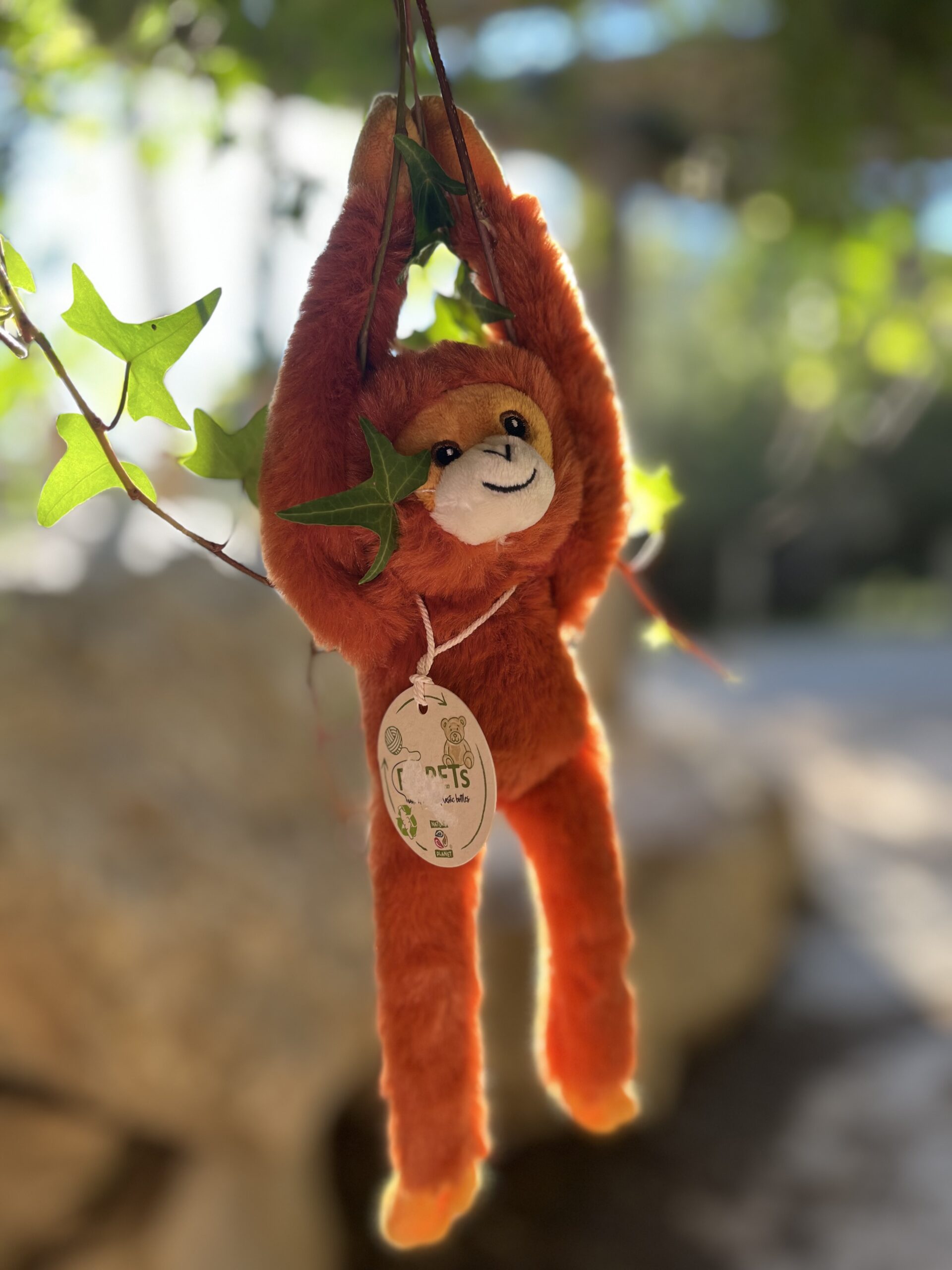 PETIT ORANG OUTAN SUSPENDU