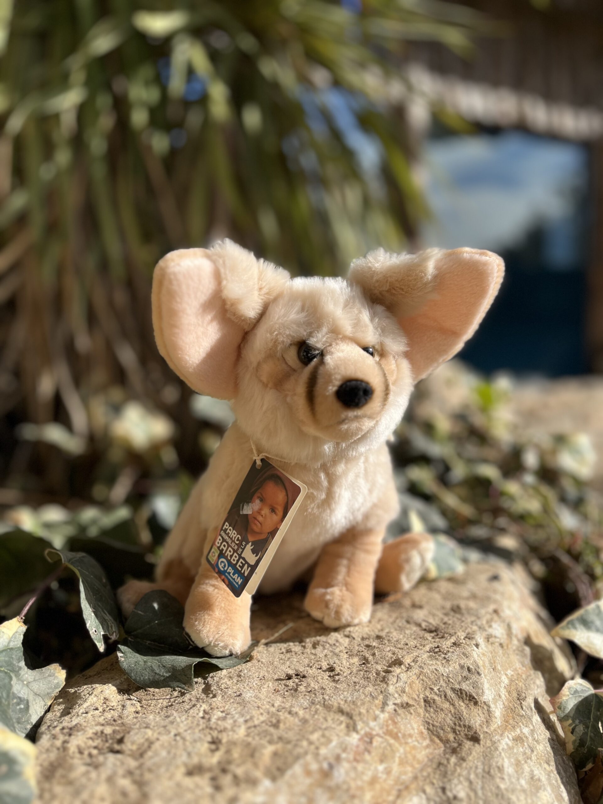 Fennec