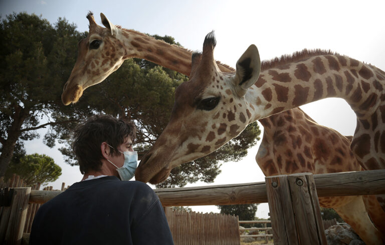 Life at the zoo goes on