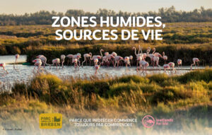 From 14 to 17 May : Discovering wetlands!