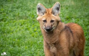 €120,000: Exceptional support for conservation in the natural environment!