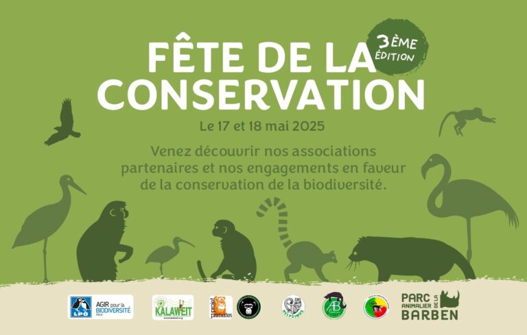 17 and 18 May 2025: Conservation Day!