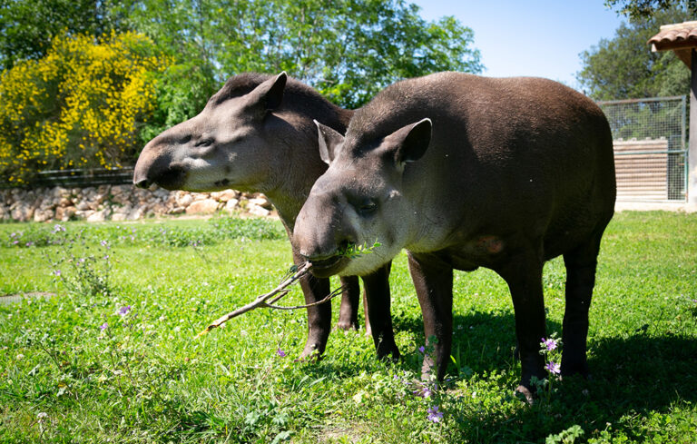 Plus de 100 000 € reversés pour la conservation en milieu naturel