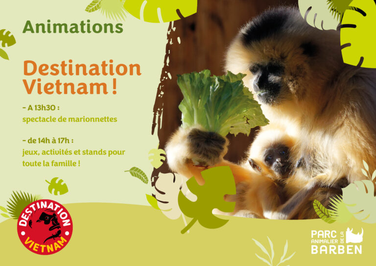 From May 1st to 4th, “destination Vietnam” animation!