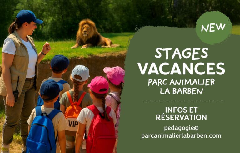 Nouveau : les stages vacances !