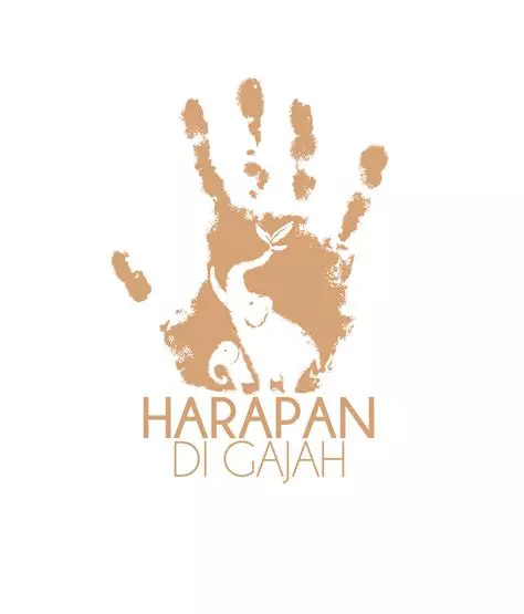 Les éléphants de Sumatra - Harapan di Gajah