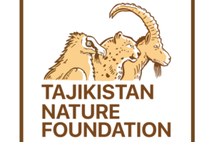 Préserver la hyène rayée au Tadjikistan