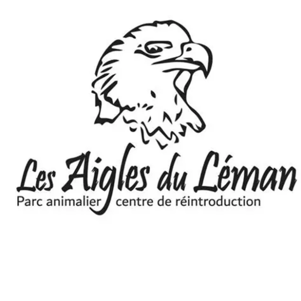 Réintroduction du pygargue à queue blanche - Les aigles du Léman - Parc ...