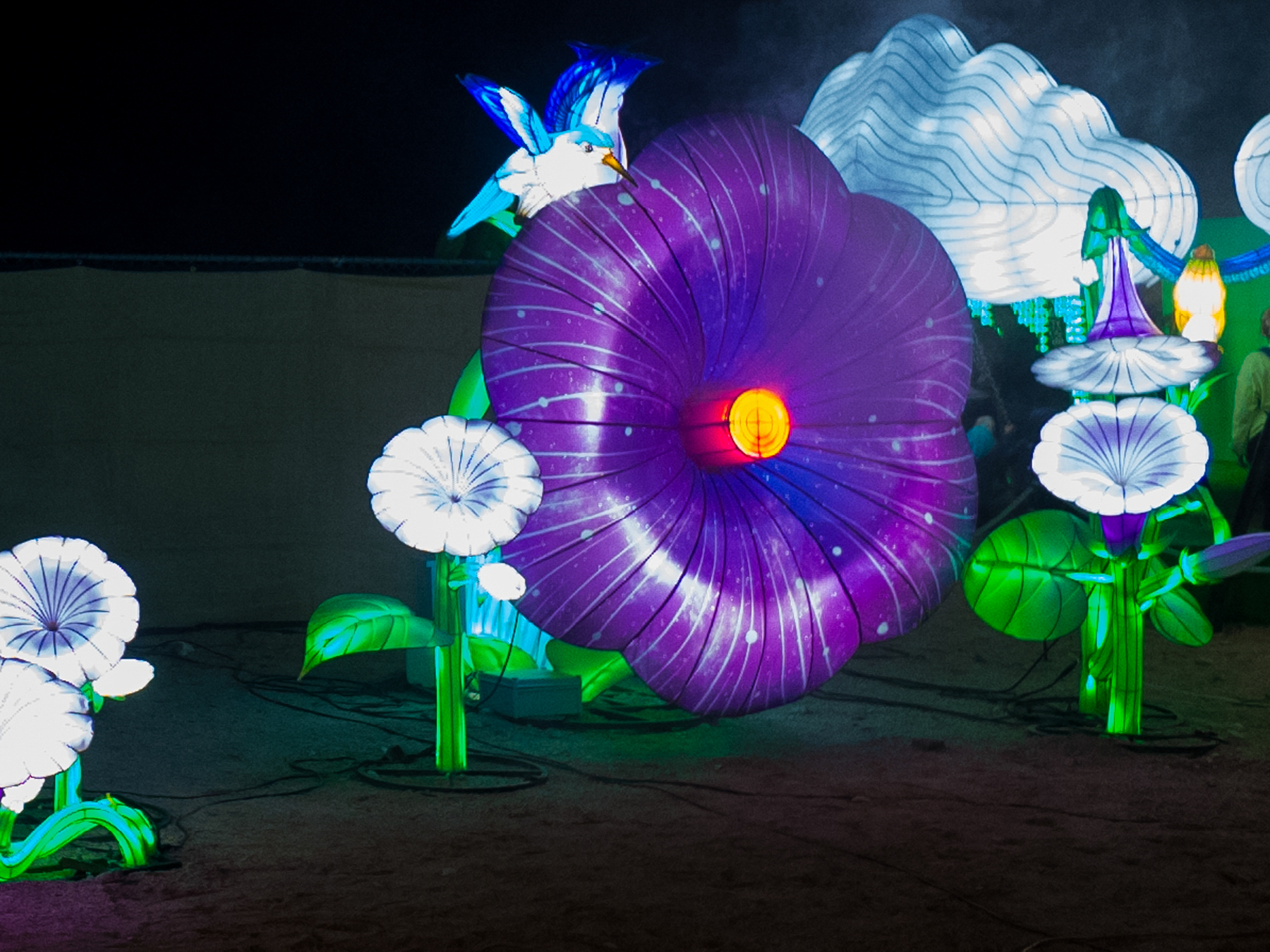 Festival des lumières