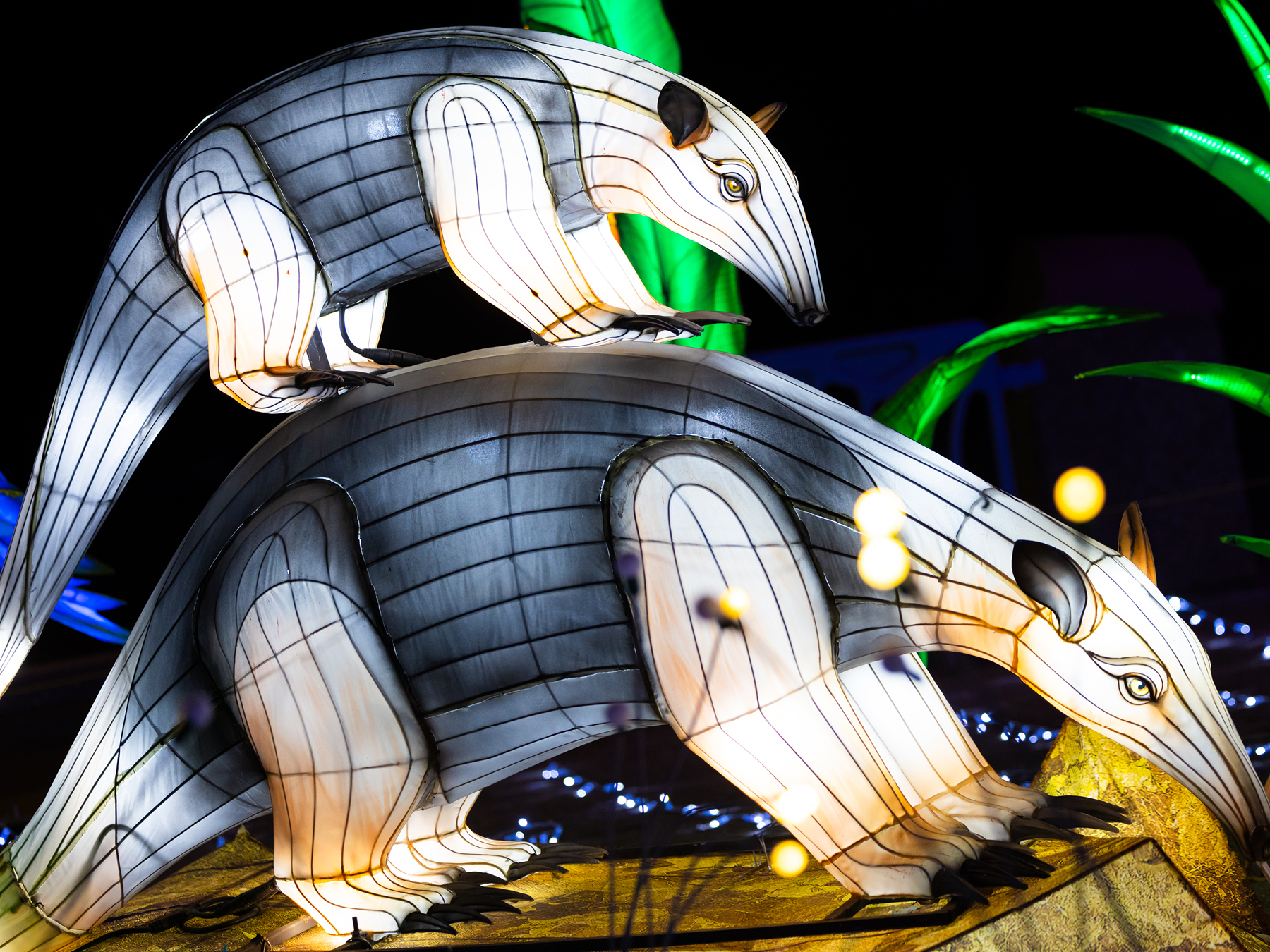 Festival des lumières