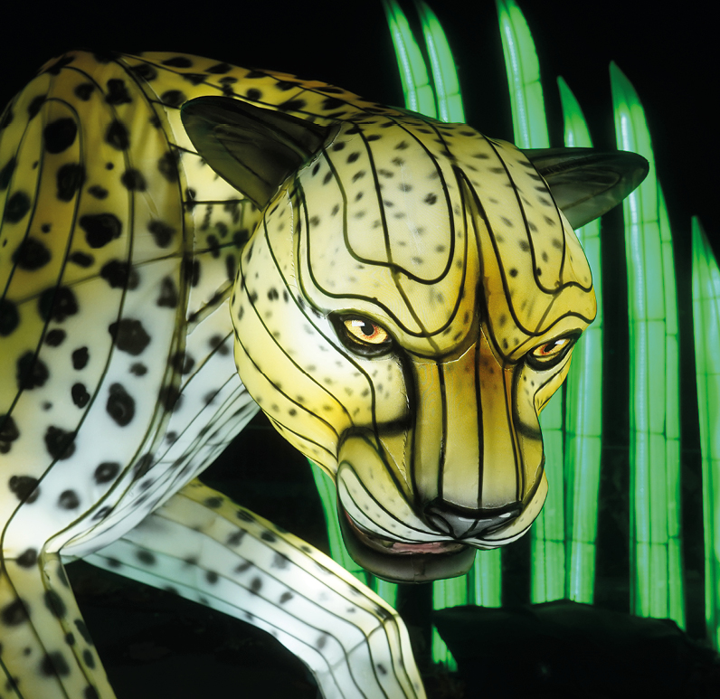 Festival des lumières