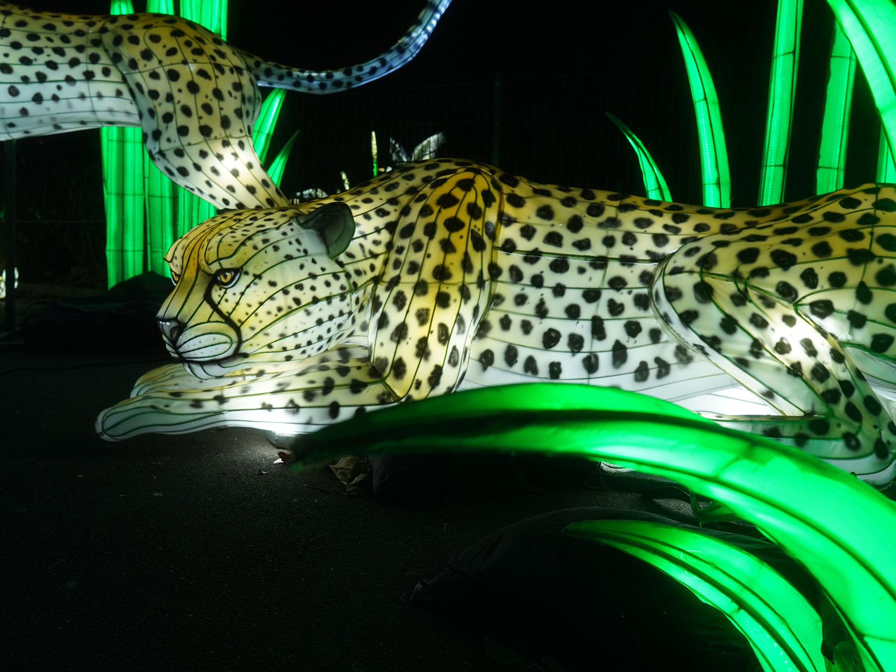 Festival des lumières