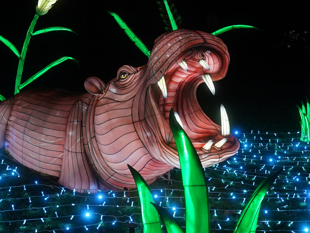 Festival des lumières