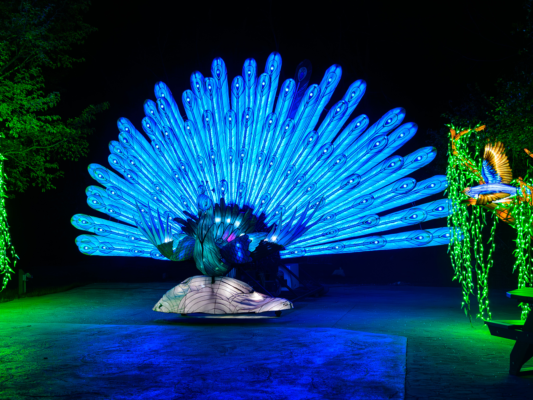 Festival des lumières