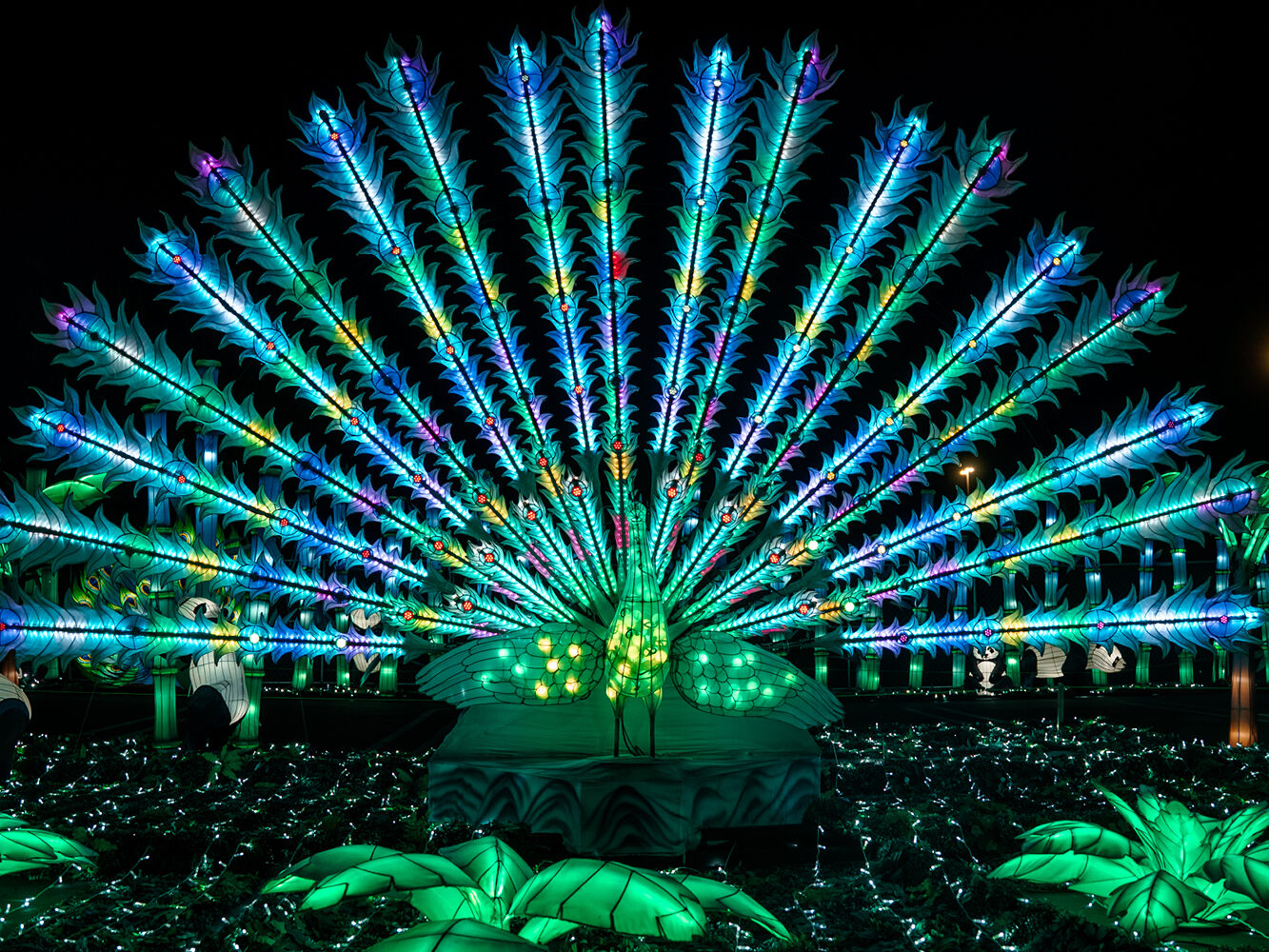 Festival des lumières