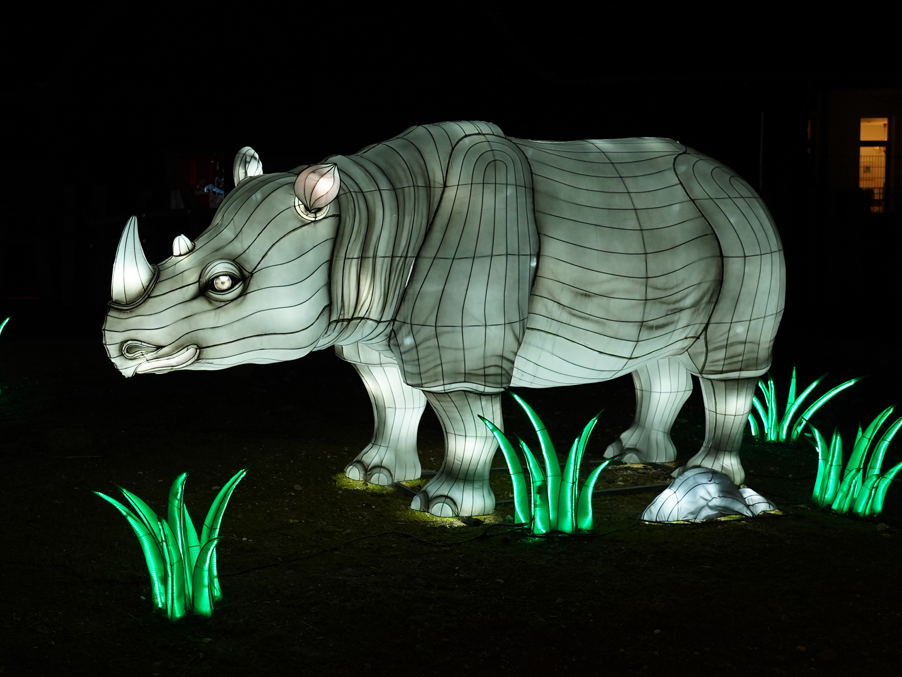 Festival des lumières